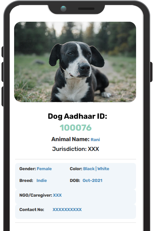 Smartphone mockup displaying an Indie Care AI digital ID profile with a photo, ID number, and medical records for community dog management
