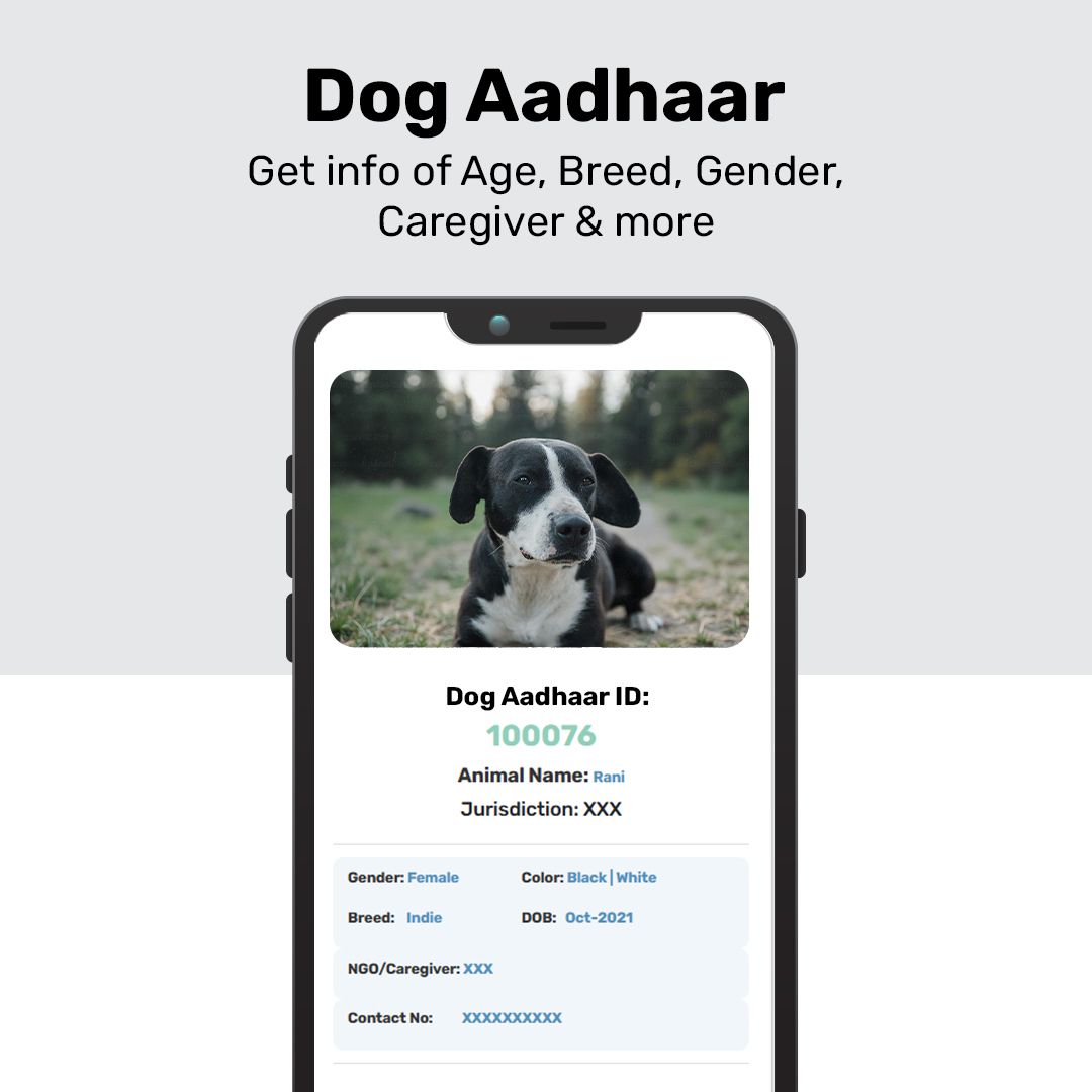 Smartphone screen displaying a digital Dog Aadhaar ID card for an Indie dog named Rani