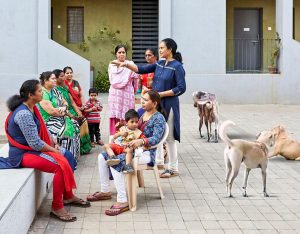 How IndieCare Prevents Dog-Human Conflicts